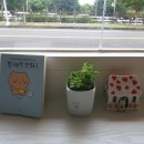 데이즈굿 이미지