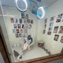 모여봐요 고양이 카페 이미지