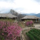 나의살던고향은 이미지