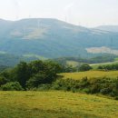 목동목장 이미지