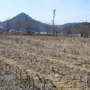 평창강가에서 이미지