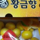 윤이네농장