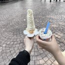 꽃다비펫 | 땡여름