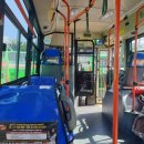 용성미산숲 이미지