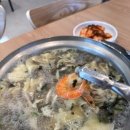 팔당원조칼제비 이미지