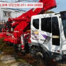 하단동1149 이미지