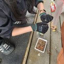 대호낚시터 | 삼길포 대호좌대 : 삼길포 낚시터, 서산 낚시터, 서산 바다낚시