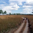 갯벌보러가는길 이미지