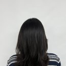 서울카클리닉 | 신촌역 미용실 리소헤어 봄 여자머리 관리 추천 카나토클리닉 후기