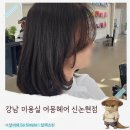 포도미용실 - 양평군 | 푸석푸석한 모발 해방 고객맞춤형 헤어클리닉 신논현미용실 어몽헤어 후기