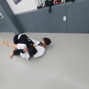팀리스펙트