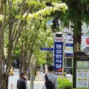 예감건축사사무소주 | (경주 여행) 불국사 주차장 아래 불국사 상가시장에 위치한 순천식당 후기(2021년 5월)