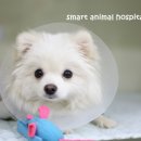 동심동물병원 이미지