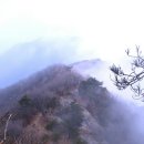 탁배기 이미지