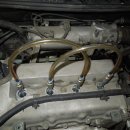 오로라카센타 이미지