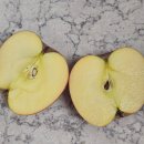 예솔농장 | 부사사과 안동사과 못난이사과 안동사과예솔별담