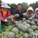법인믿음농장