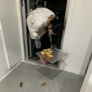 디저트소소