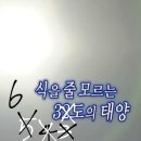 부산·울산지방병무청 구내식당 | 현대그린푸드 2025 상반기 신입 영양사 공개채용/공채/서류전형/실무면접/임원면접/경력 영양사