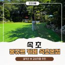 속초 봉쥬르카페 속초본점 내돈내산 후기｜설악산 뷰 감성카페 추천