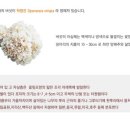 황제바이오