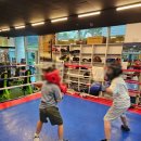 심수용복싱클럽 이미지