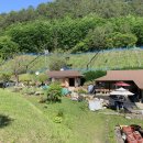 푸른산민박 이미지