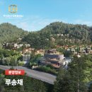 주식회사 밸런스건축사사무소 | 루송채 분양가 | 발왕산의 웅장한 대자연이 품은 최상위 프리미엄 콘도미니엄