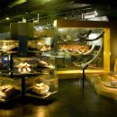 우석헌자연사박물관 이미지