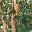 왕궁포레스트 이미지