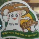 능이버섯백숙 남양주시 호평동 맛집 참능이 이미지