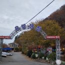 유림산천 이미지