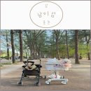 꼼지락 공예 놀이터 | [춘천 여행] 남이섬 애견동반 후기 (남이섬주차 선박시간 강아지동반 입장조건 애견놀이터)