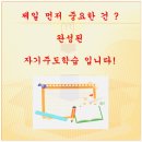영영피플 이미지