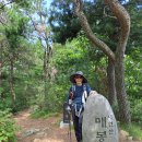 포항.내연산[수목원.매봉산.항로봉.삼지봉.문수봉.보경사] 이미지