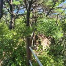 청도자연휴양림 이미지