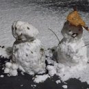 라쁘리메라 이미지