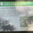 참된상회 | [강원도] 오대산 선재길, 상원사-출렁다리-섶다리-보메기-회사거리-월정사