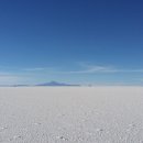 경보행정사 이미지