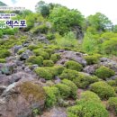 엑스포여행사 이미지
