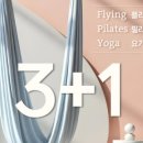 필라리나필라테스 네이버블로그