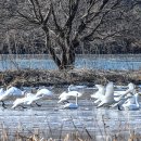 경안천 이미지