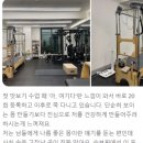 슈브핏 이미지