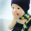 아이뽀 Daum카페