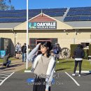 마이딩고 | 오크베일 동물원 오픈런, 머레이 와이너리, 포트스테판 사막 모래 썰매 일일투어 추천, 내돈내산 후기!