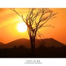 초원목장1 이미지