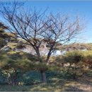 낭산면-1 이미지