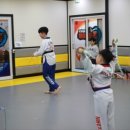 경희대 히어로즈 태권도장 이미지