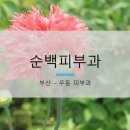 순백피부과
