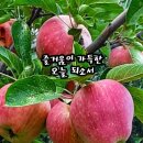 행복한의료기 이미지